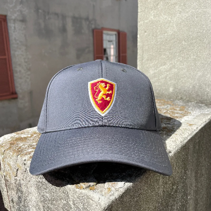 Premium snapback cap with embroidered artwork -Side Perforated Gray Shield Hat