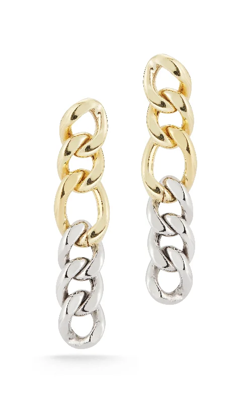 Hoop earrings with hearts for a sweet and romantic gesture-Two Tone Large Link Earring